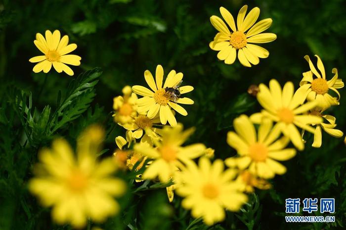 图片默认标题 图片默认标题_fororder_1