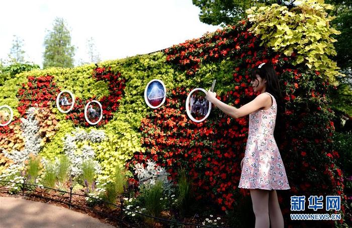 图片默认标题 图片默认标题_fororder_1125904913_15878188446871n