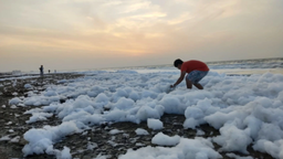 墨西哥海滩浮现大量白色泡沫：周围有化工厂 曾发生事故