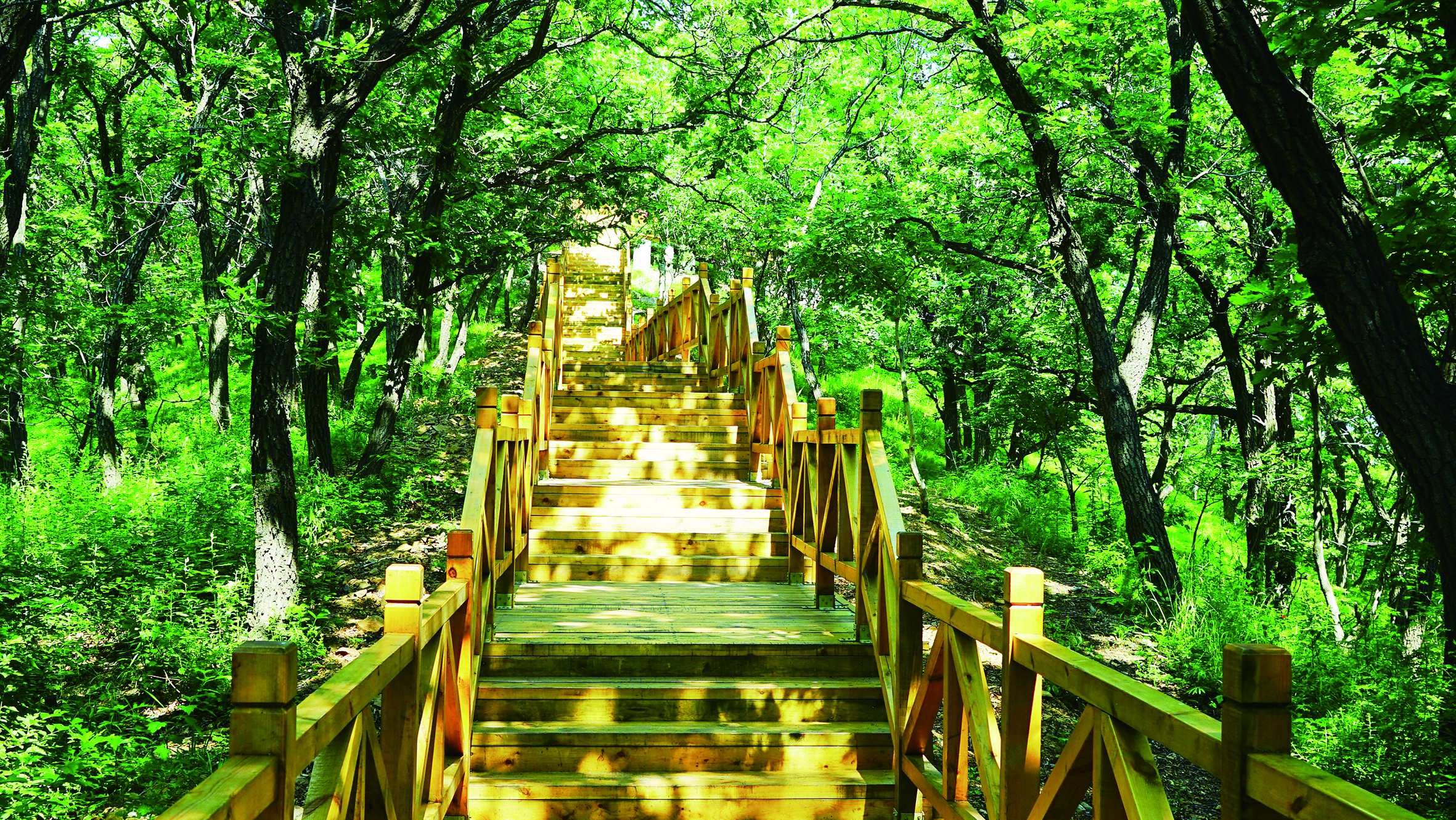 2019长春消夏艺术节:为城市奏响夏的赞歌