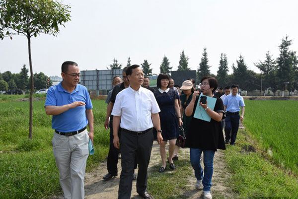 图片默认标题_fororder_1