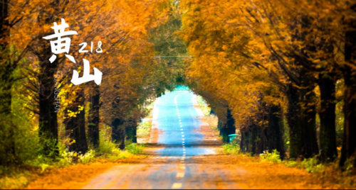 安徽文旅系列品牌|安徽省十条自驾精品线路:黄山218 安徽文旅系列品牌|安徽省十条自驾精品线路:黄山218