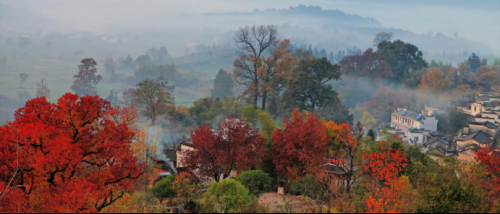 安徽文旅系列品牌|安徽省十条自驾精品线路:黄山218 安徽文旅系列品牌|安徽省十条自驾精品线路:黄山218