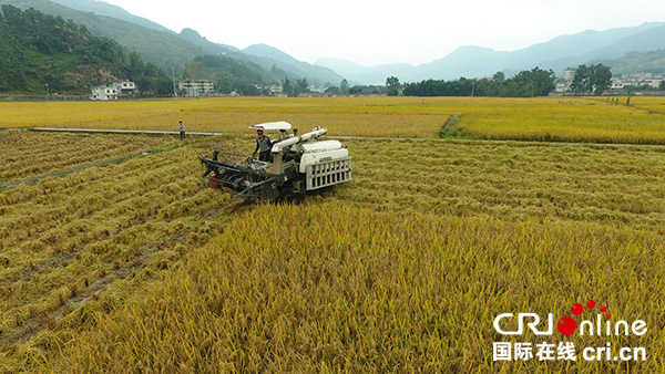 图片默认标题_fororder_DJI_0203