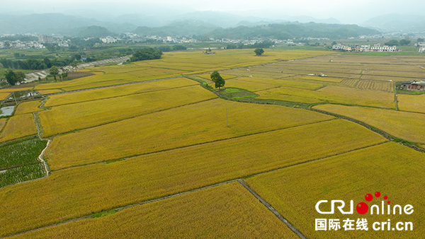 图片默认标题_fororder_DJI_0201