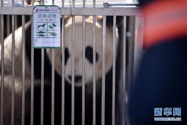 图片默认标题_fororder_J1-1