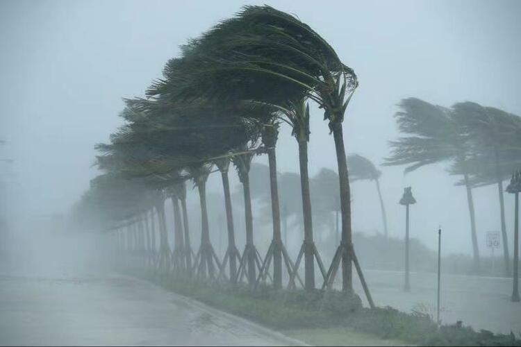 美国国家海洋和大气管理局:2021年飓风季活跃程度可能高于平均水平