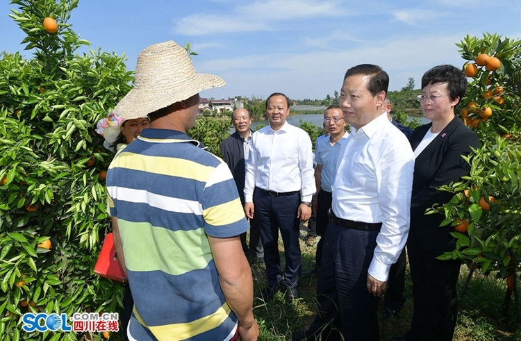 全面落实"六保"任务 4月27日,省委书记彭清华到内江市资中县银山镇老