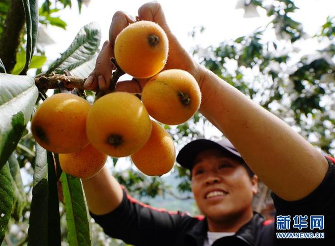 图片默认标题_fororder_702