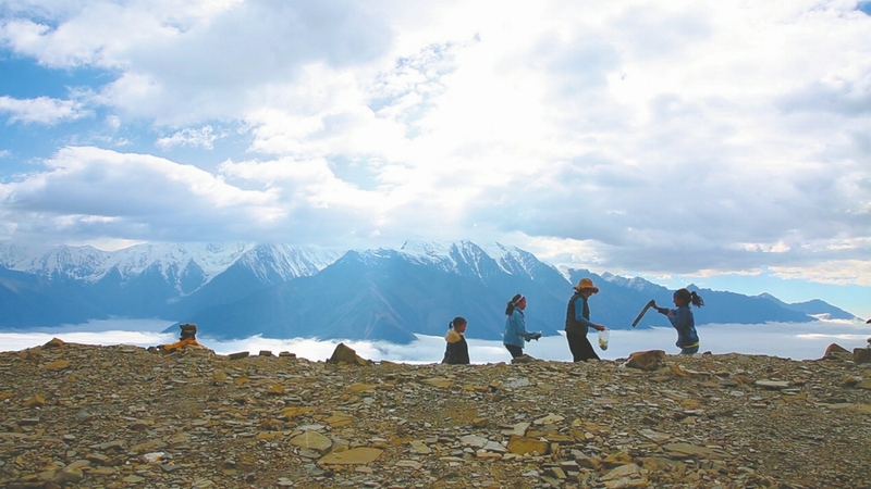 （转载）守护雪山的“爬山侠” 贡嘎山乡村民自发在5000米高山捡垃圾