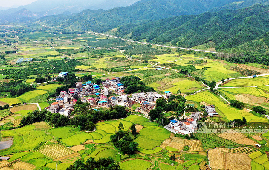 柳州融安：青山绿水围绕 生态乡村美如画