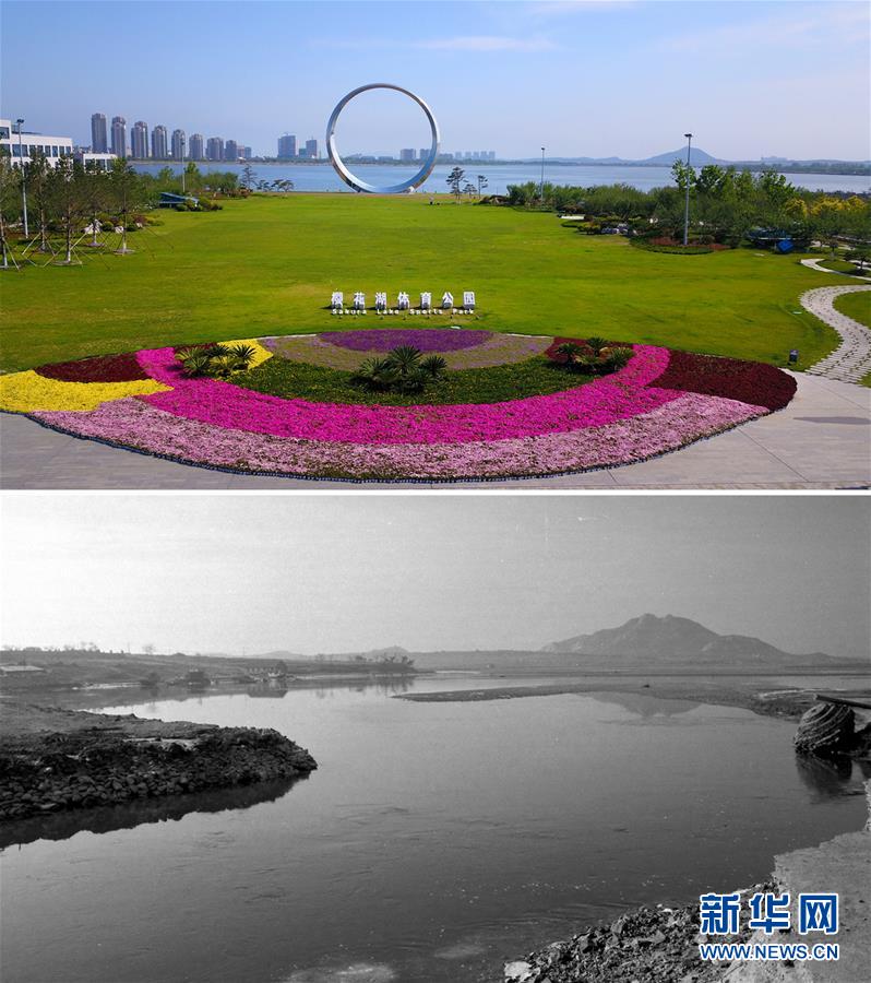 山东荣成:樱花湖的美丽变身 山东荣成:樱花湖的美丽变身