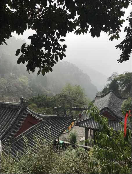 ไต่เขาไท่ซาน ชมสีสันฤดูใบไม้ร่วง