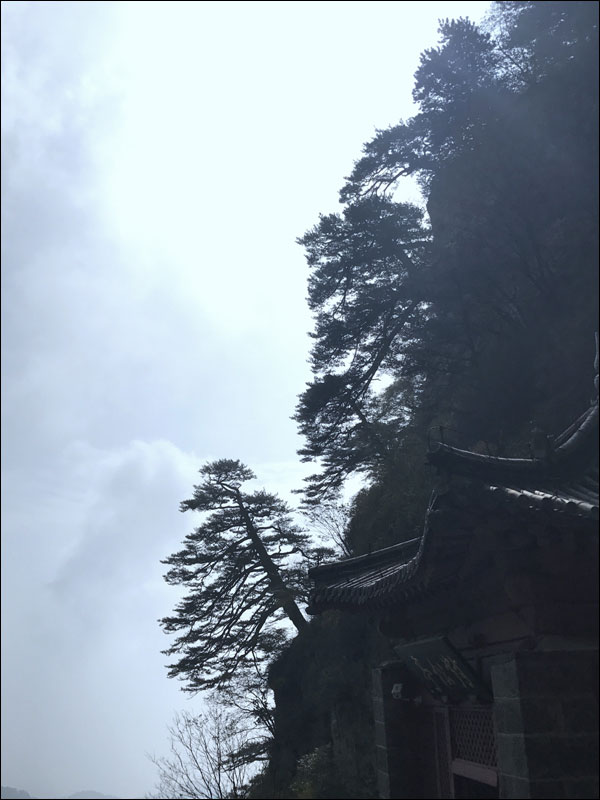 ไต่เขาไท่ซาน ชมสีสันฤดูใบไม้ร่วง