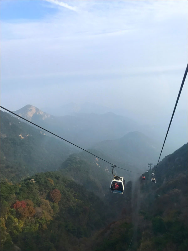 ไต่เขาไท่ซาน ชมสีสันฤดูใบไม้ร่วง