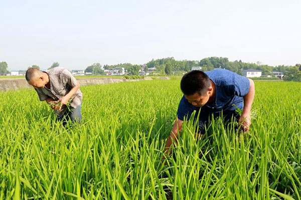 图片默认标题_fororder_1