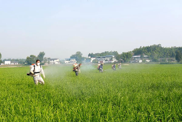 图片默认标题_fororder_2