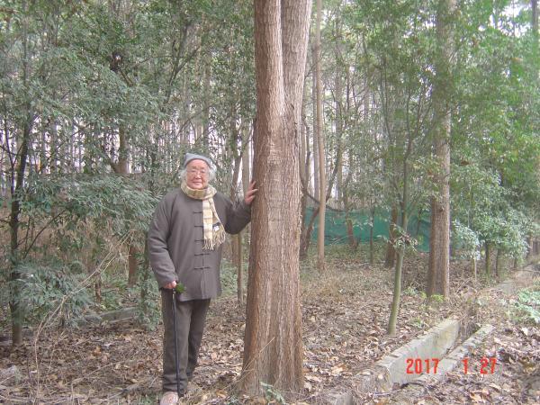 95岁老教授花15年建珍稀植物园 因商业开发需搬迁