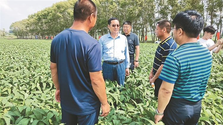 助力龙江大豆产业 看“伙伴”如何做加减乘除