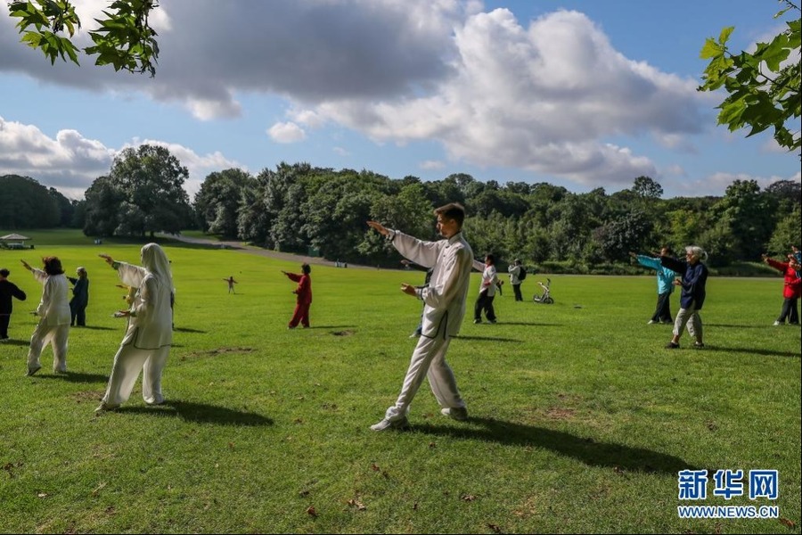 7月28日，人們在比利時布魯塞爾的拉肯公園練習太極。新華社記者 張鋮 攝
