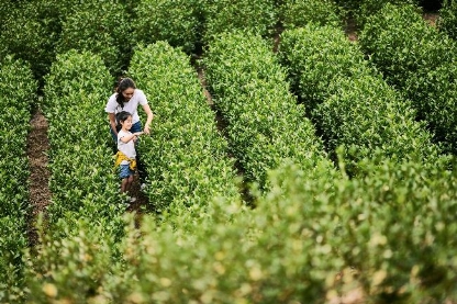 Club Med Joyview周边游系列度假村重启春日假期 Club Med Joyview周边游系列度假村重启春日假期