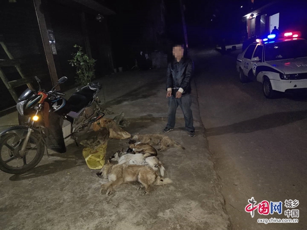 （转载）宜宾：长宁县公安局查处一起盗狗案 拘留一人