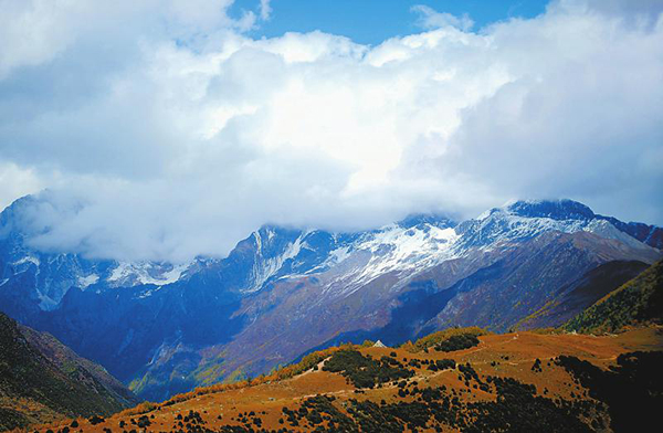 图片默认标题_fororder_1