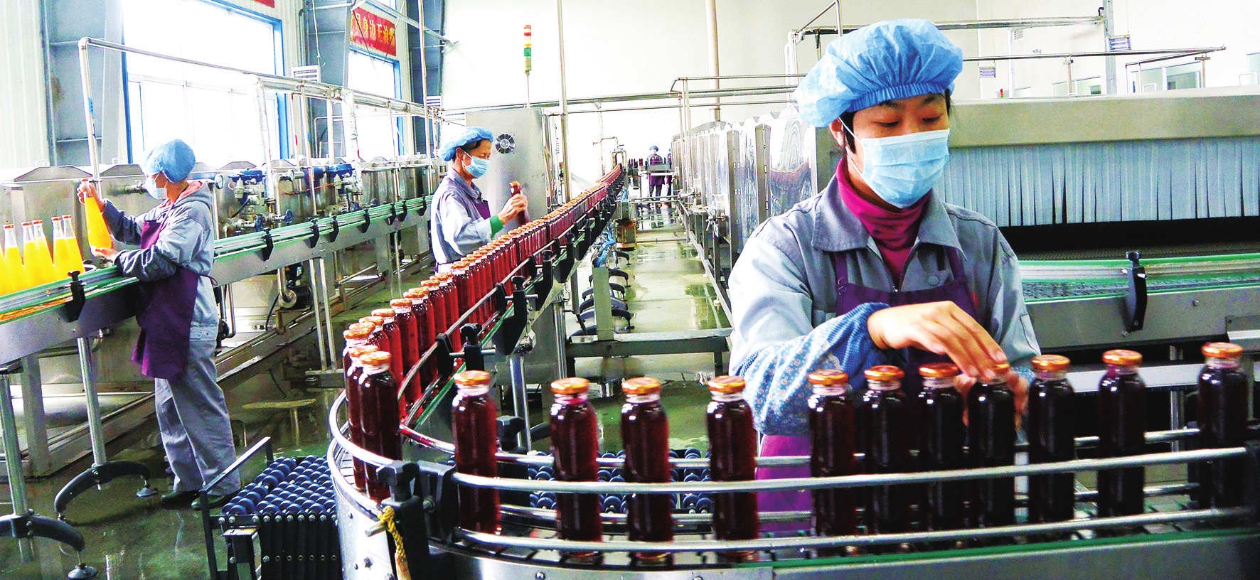 在希望的田野上—白山市加快蓝莓产业发展侧记