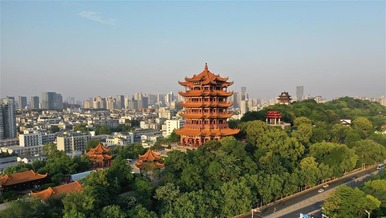 图片默认标题