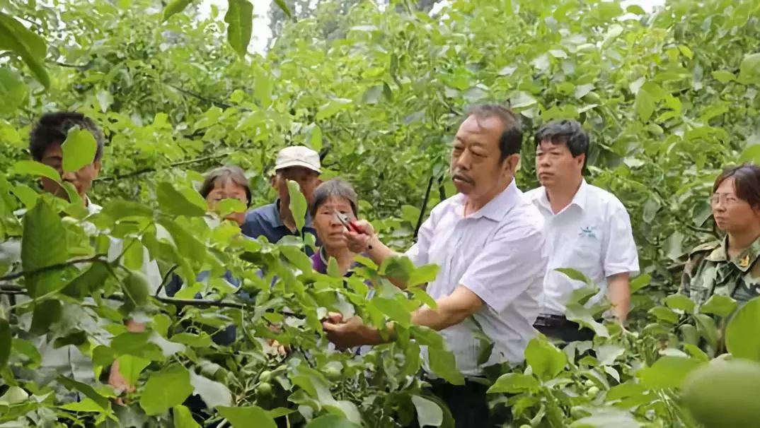 这个端午节，跟习近平一起重温爱国奉献精神