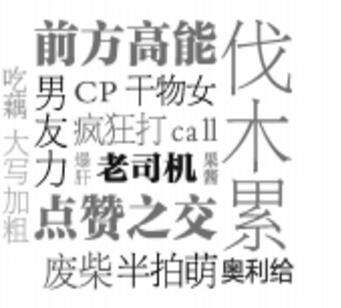 双击老铁666 一组热词让你“秒懂”95后