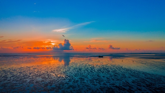초가을 條子泥습지, 곳곳마다 아름다운 화폭 초가을 條子泥습지, 곳곳마다 아름다운 화폭_fororder_8