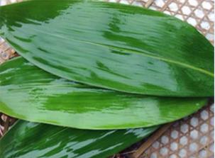 图片默认标题_fororder_2