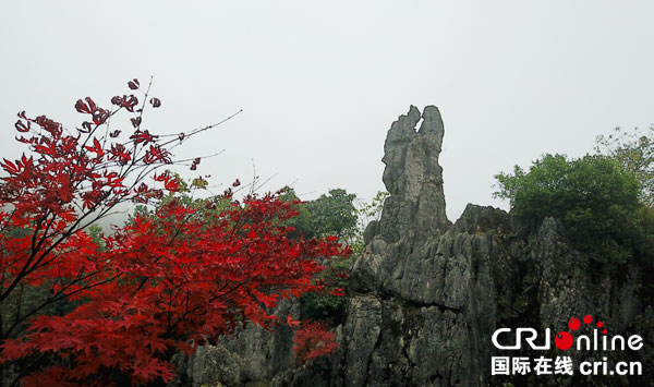 图片默认标题_fororder_金秋之恋【7】