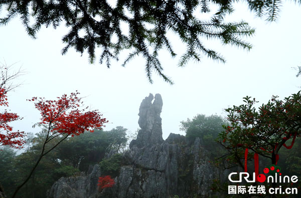 图片默认标题_fororder_金秋之恋【4】