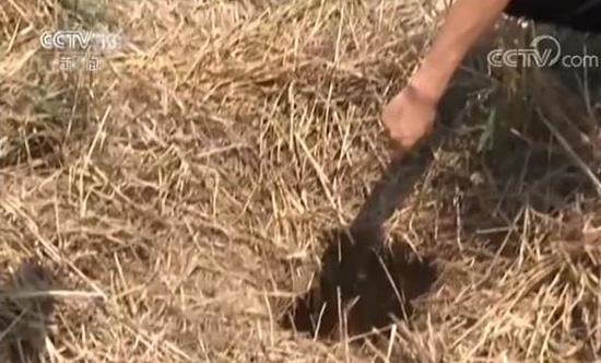 陕西破获古墓盗窃案：已抓获40余名嫌疑人
