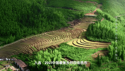 秋收时节暮云沉,霹雳一声暴动 |《美术经典中的党史》邀您走近油画《秋收起义》……