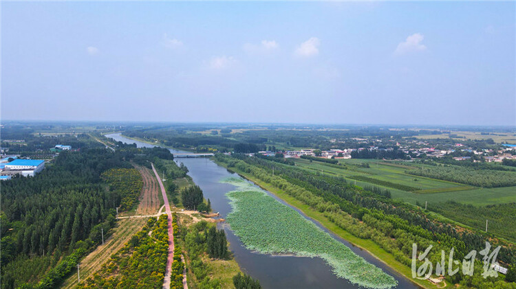 河北威县：河清岸绿生态美