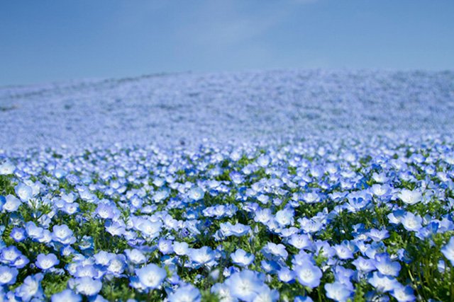 图片默认标题 图片默认标题_fororder_jpjingji1031-2-3-640my