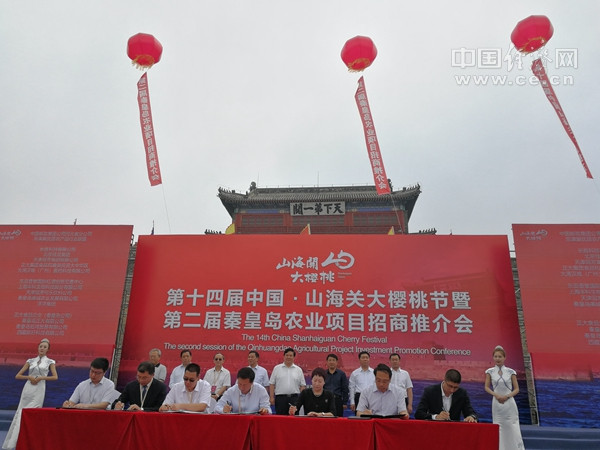 第十四届中国·山海关大樱桃节在河北秦皇岛举办