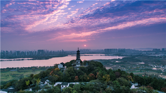 （供稿 节庆会展图文chinanews带图列表 移动版）苏州市植物园旅游推介活动在浦东机场举办