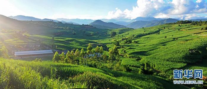 图片默认标题_fororder_pangan2020050207