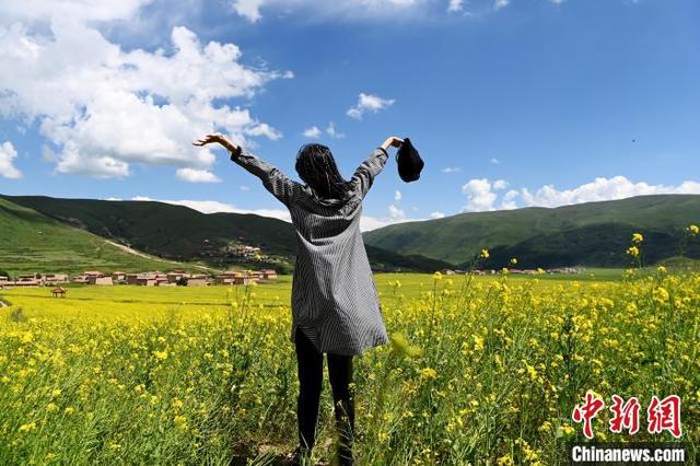 Ladang Bunga Canola, Lokasi Ideal untuk Bergambar_fororder_yc2