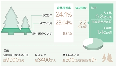 森林覆蓋率將提高到24.1%—— 生態(tài)安全屏障更加牢固