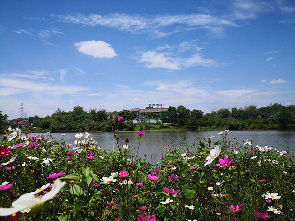 以"慢餐"闻名的沿滩区百胜村有望成为天府旅游名村