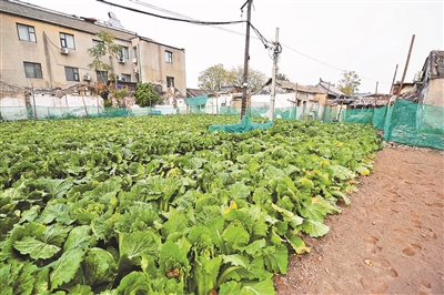 前门现“黄金菜地”周边房价每平方米超过10万元