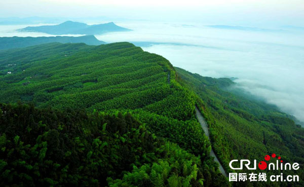 图片默认标题_fororder_2