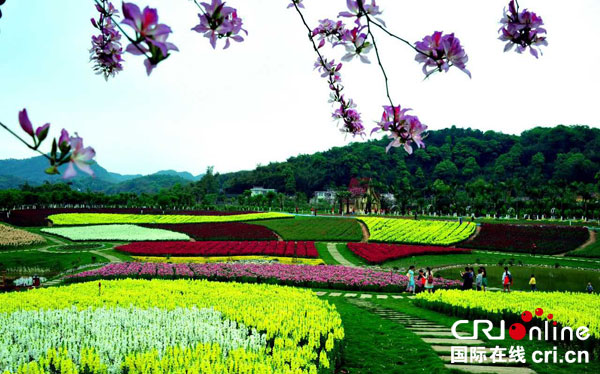 图片默认标题_fororder_3