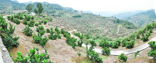 图片默认标题_fororder_1509513581394