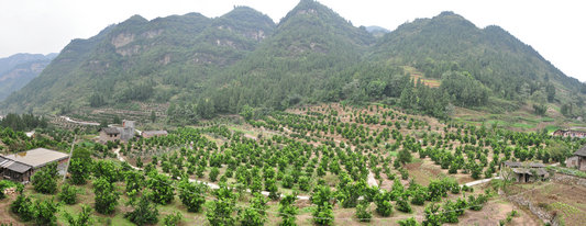 图片默认标题_fororder_1509513477108